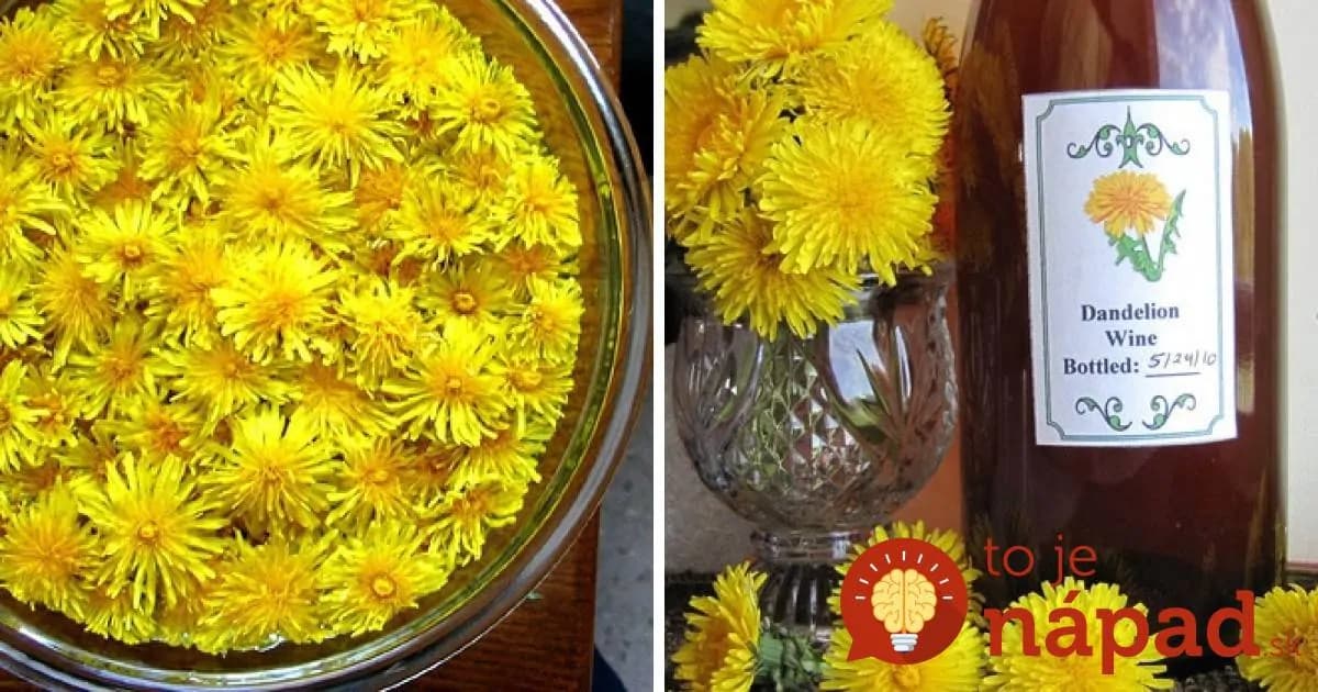 Elixír zdravia s vôňou jari: Vyskúšajte púpavové víno!