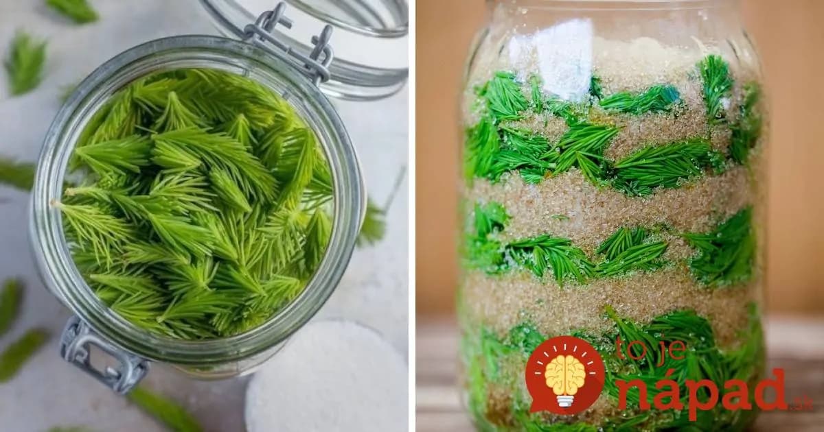 Sirup zo smrekových výhonkov má zázračnú moc: Viete, z čoho vás dokáže vyliečiť?