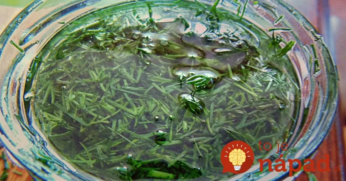 Skvelý tip, ako udržať bylinky čerstvé celé mesiace aj bez zmrazovania