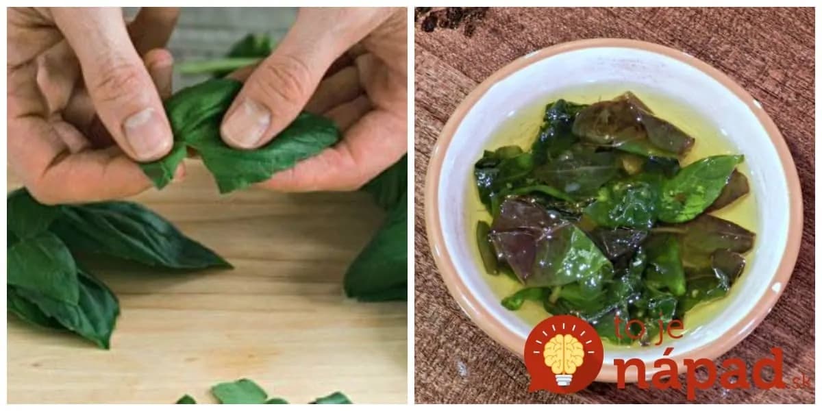 Zabudnite na sušenie: Toto je ten úplne najlepší tip, ako uskladniť bazalku!