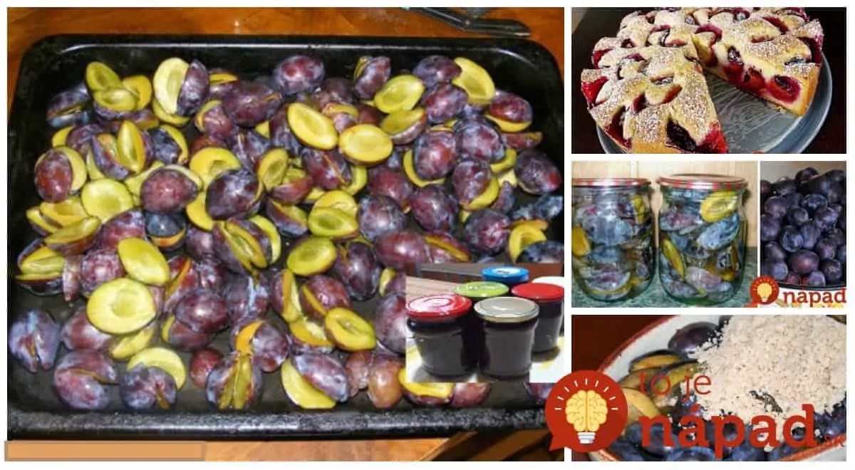 Už nemusíte hľadať, tu máte všetko na jednom mieste: 13 top receptov zo sliviek!
