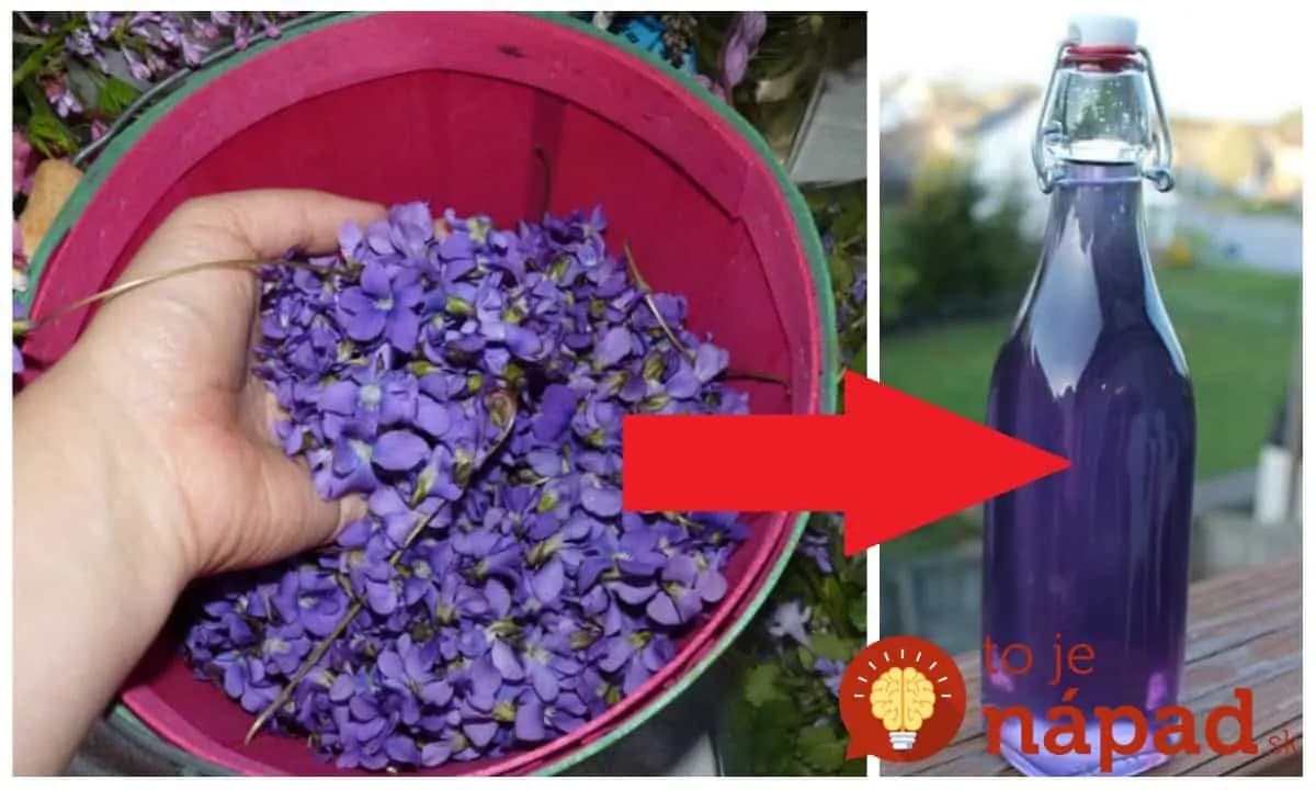 Liečivý sirup z jarných fialiek má zázračnú moc: 1 lyžička a zabudnete, čo je kašeľ, stres aj bolesť hlavy!