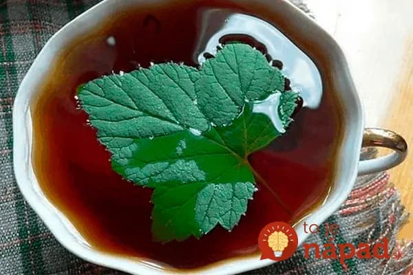 Toto by mala v lete poznať každá žena po 40-tke: Tieto listy máte na záhrade úplne zdarma, ale ich účinky sú ohromné – len zalejte vodou!