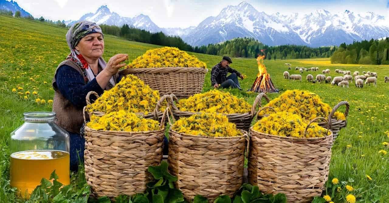 Moja starká má recept na zázračnú púpavovú vodu: DÔLEŽITÝ dôvod, prečo by ju mala piť každá jedna žena!