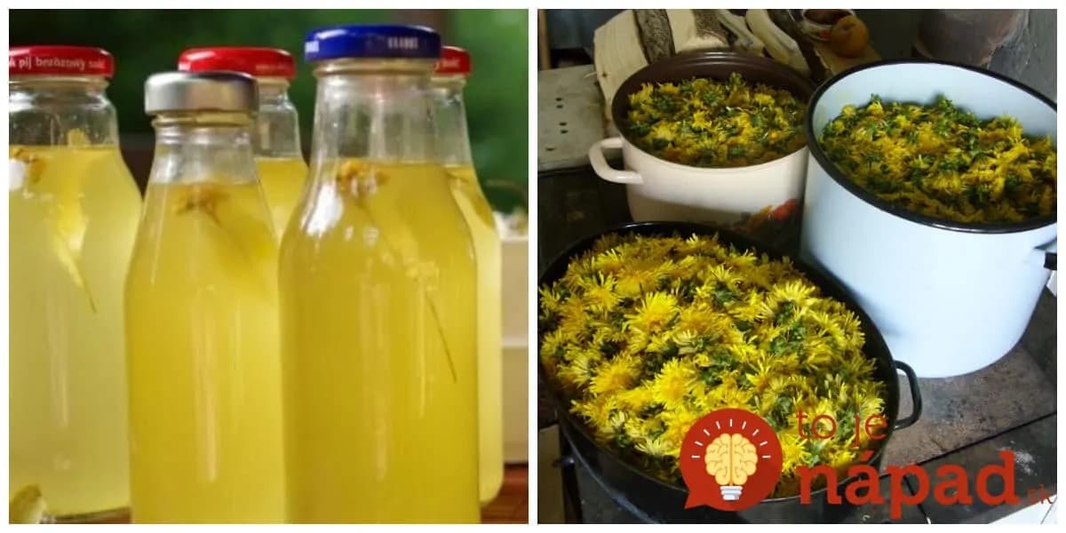 Liečivý sirup z púpavy bez vrenia: Pomáha žlčníku, pečeni a po 1 lyžičke zabudnete čo je stres a únava!