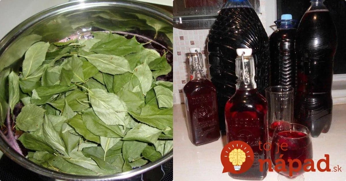 Natrhajte si 33 listov z malín, 33 listov z čerešne a na Veľkú noc máte najlepší prípitok: Dedov tajný likér 100 listov pre zdravie celý rok!