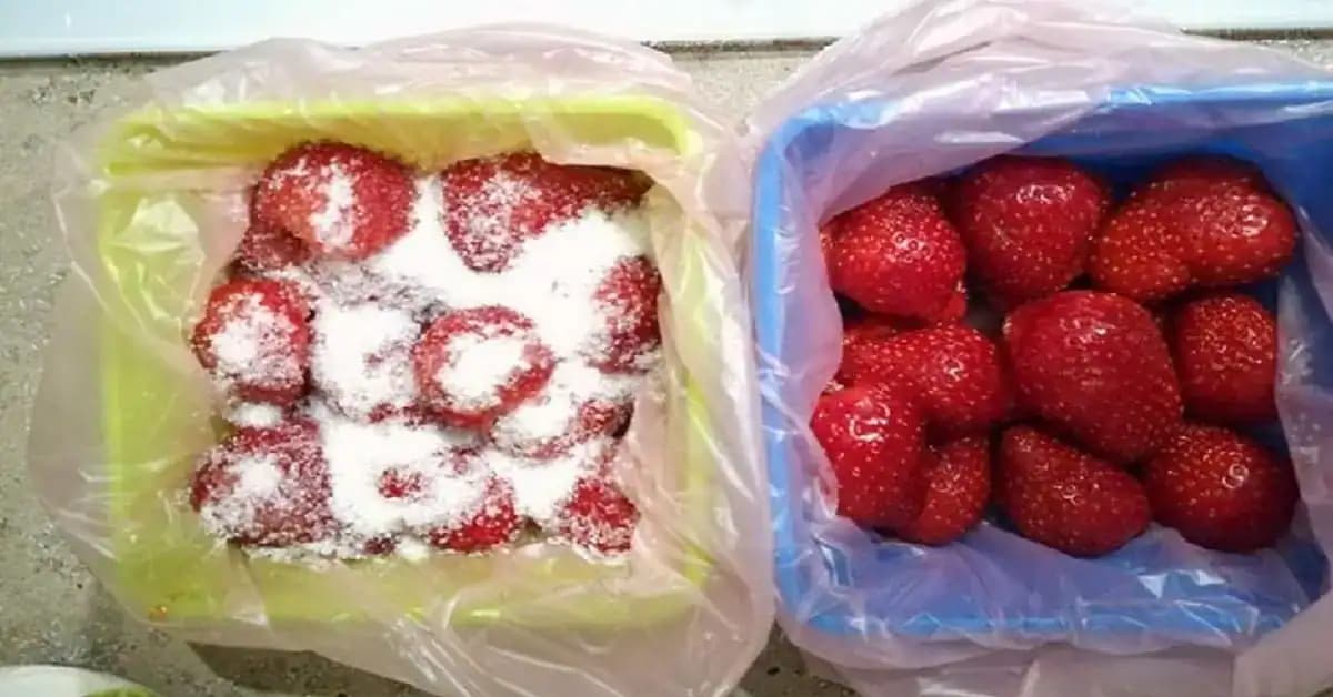Dômyselná metóda mrazenia jahôd: Takto si uchovajú všetky vitamíny a chutia ako čerstvé!