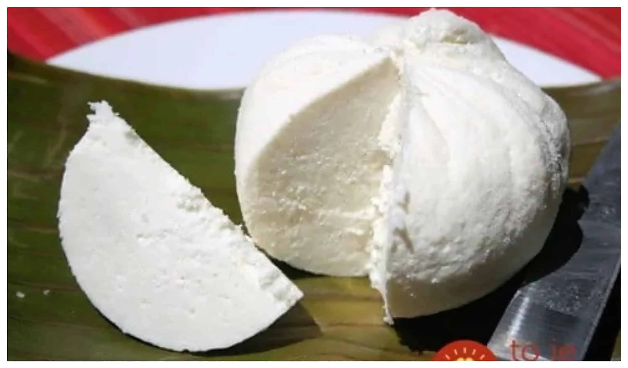 Priateľ z Chorvátska mi ukázal, ako sa robí domáci BALKÁNSKY SYR. Už si ho nikdy nekúpim v obchode!