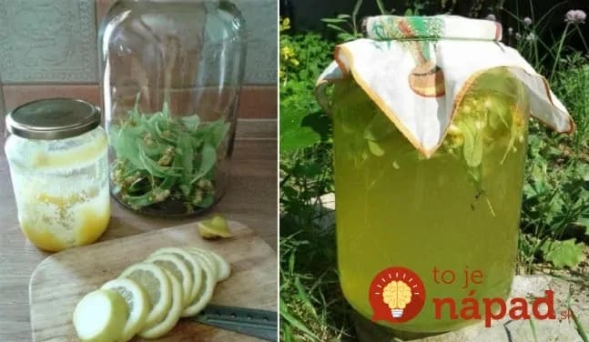 Domáca lipová limonáda: Voňavá, chutná, veľmi užitočná – v horúčave – najlepší nápoj!