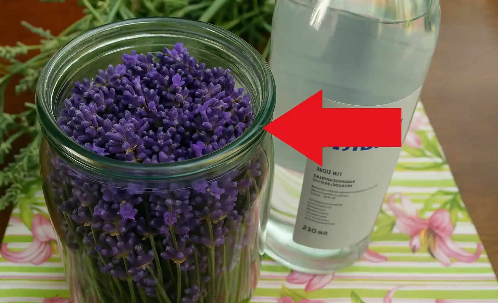 Môj manžel vyrába najlepší LEVANDUĽOVÝ LIKÉR a objednáva ho celá ulica: TU je recept!