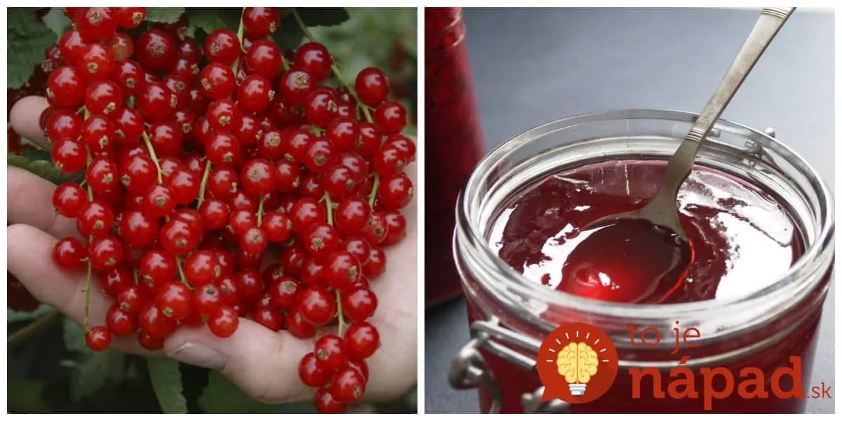 Výborný ríbezľový džem, za 30 minút v pohároch: Žiadna práca a máte najlepšiu náplň do lineckého pečiva!