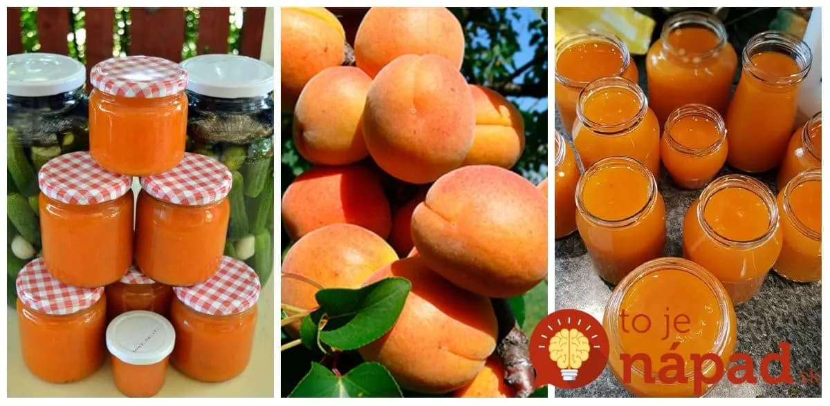 Žiaden gelfix ani chémia: Neprekonateľný recept na marhuľový džem podľa prababky, taký v obchode nekúpite!