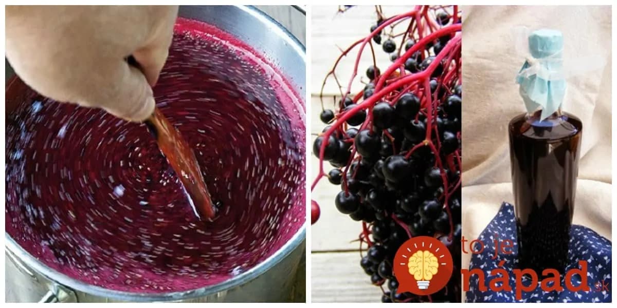 Liečivý sirup z čiernej bazy – znižuje horúčku, lieči chrípku aj bolesť brucha: Hlavnú prísadu máte v auguste úplne zadarmo!