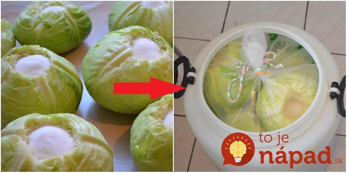 Kyslá kapusta plná vitamínov bez krájania! Rýchla príprava a výsledok fantastický.