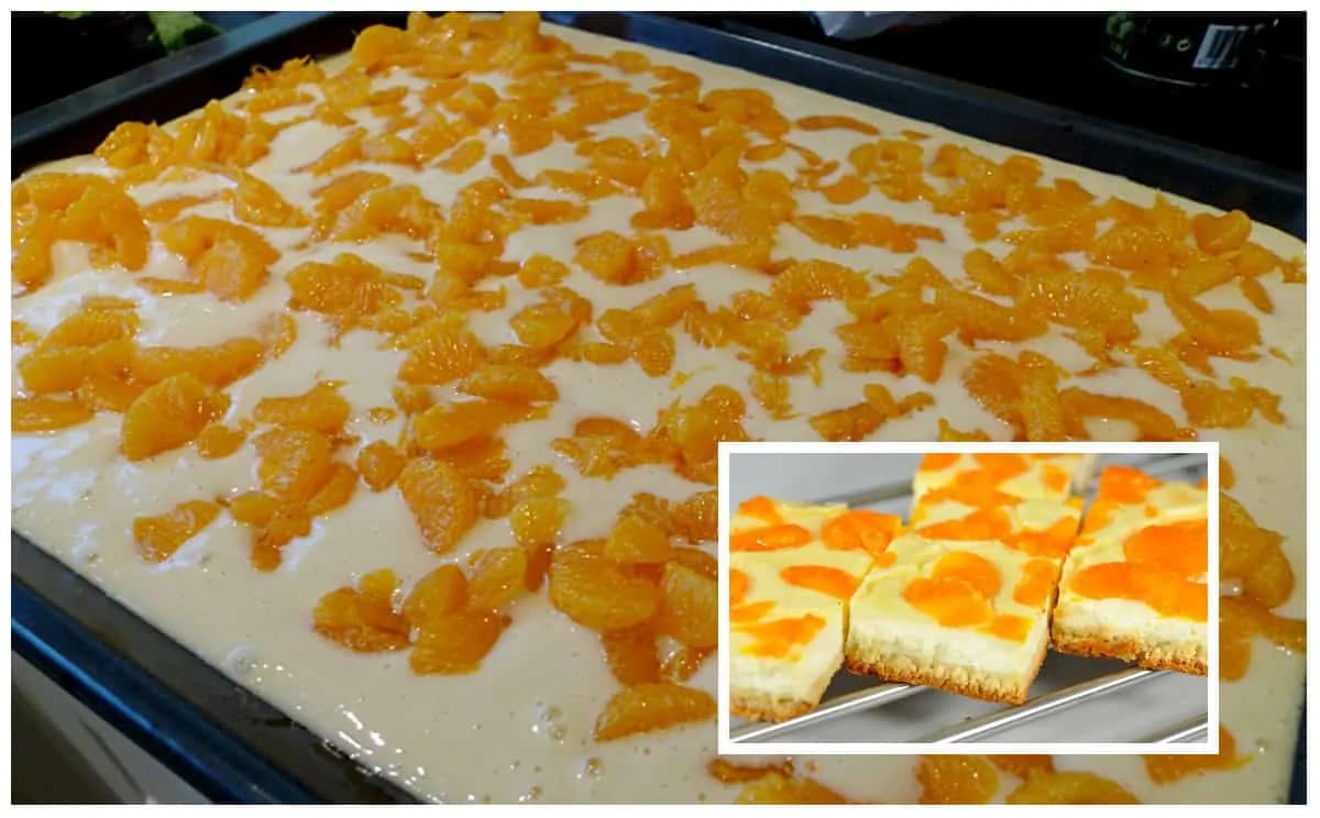 Tvarohový blesk s mandarínkami: Úžasne šťavnatý koláč pripravený za 15 minút – najlepší osviežujúci dezert!