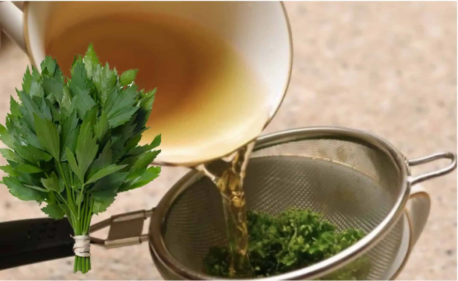 Čaj zligurčeka čistí pľúca, lieči zápal a odstraňuje hlien z dýchacích ciest: Takto si ho pripravíte aj u vás doma!