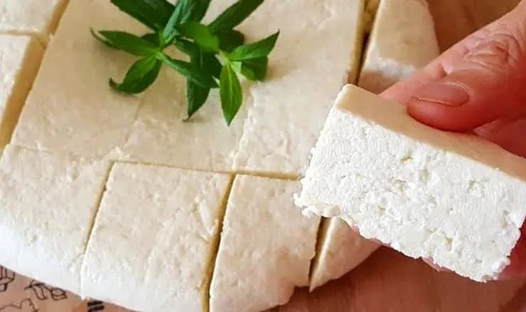 Fantastický domáci syr len z 3 surovín: Nepotrebujete nič viac len mlieko, jablčný ocot a soľ!