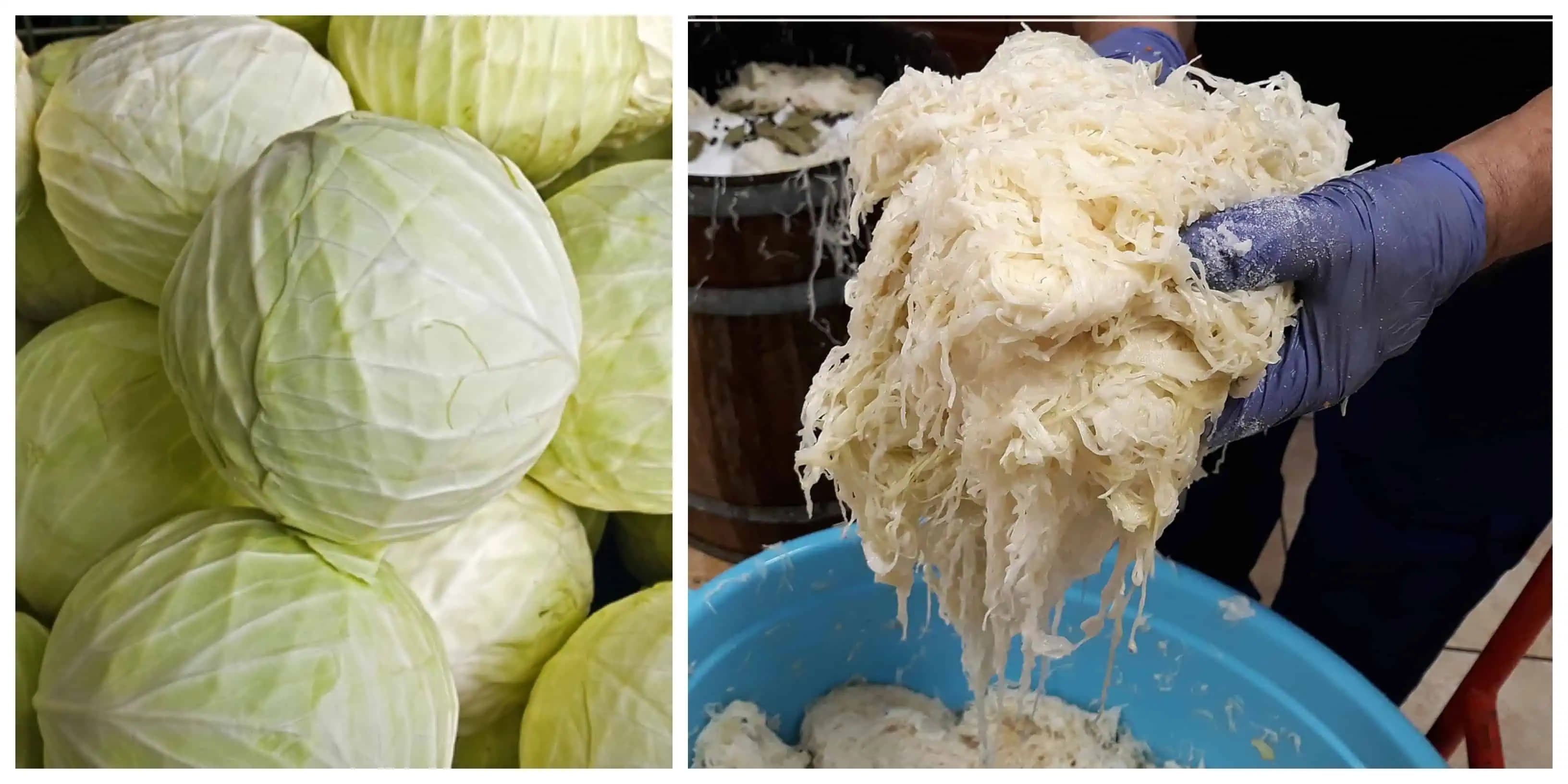 Tajomstvo, aby vám kyslá kapusta ostala biela ako sneh a nezmäkla celý rok: Pridajte do suda túto surovinu!