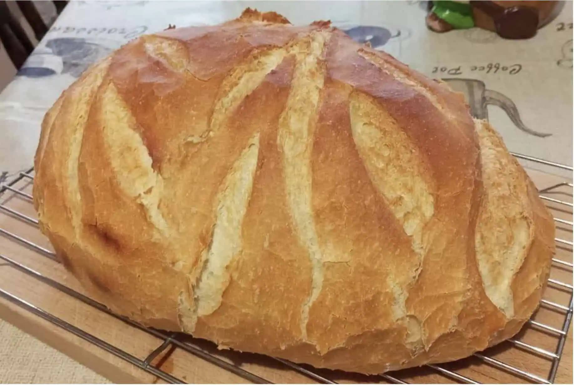 100-ročný recept na najlepší DOMÁCI CHLEBÍK: Originál od vychýreného račianskeho pekára!