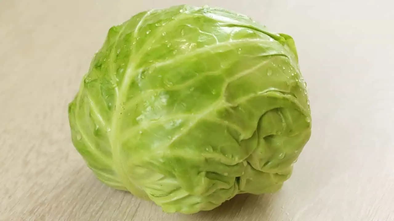 3 fantastické šaláty z mladej kapusty: Vyskúšajte ich všetky a spestrite si jarný jedálniček!