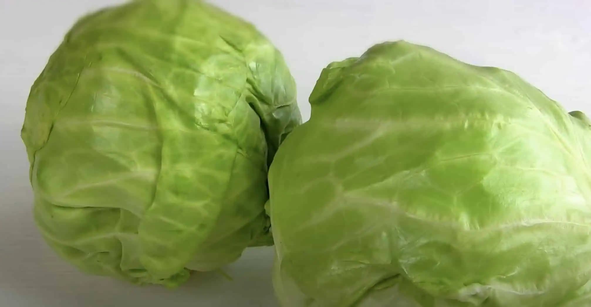 Dva fantastické recepty na chudnutie z obyčajnej kapusty: Také jednoduché, lacné a chutia naozaj skvele!