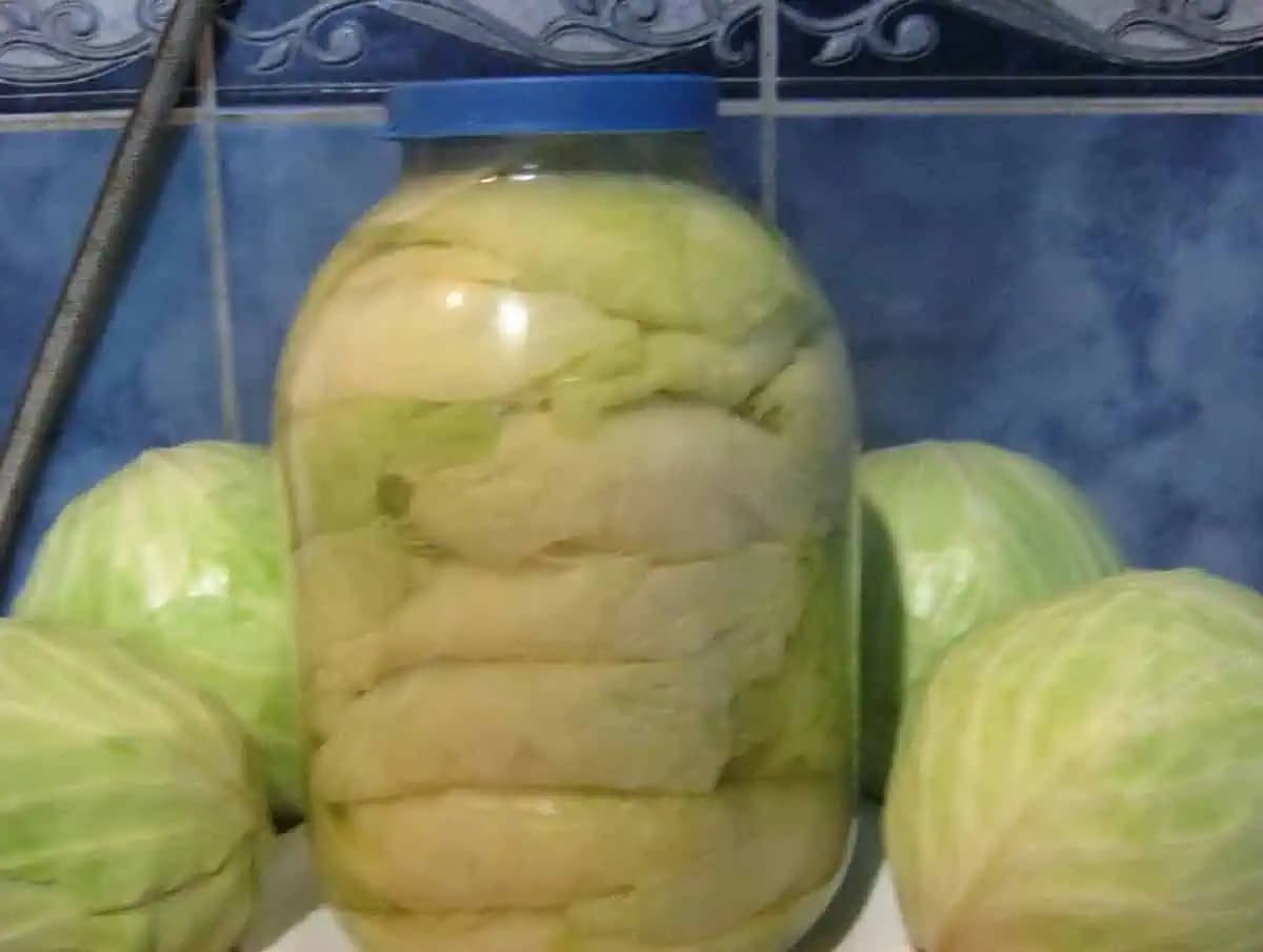 Pripravte si na zimu tieto nakladané kapustové listy v rolke: V zime ich stačí len vytiahnuť, naplniť ako rolky a máte chutný obed!