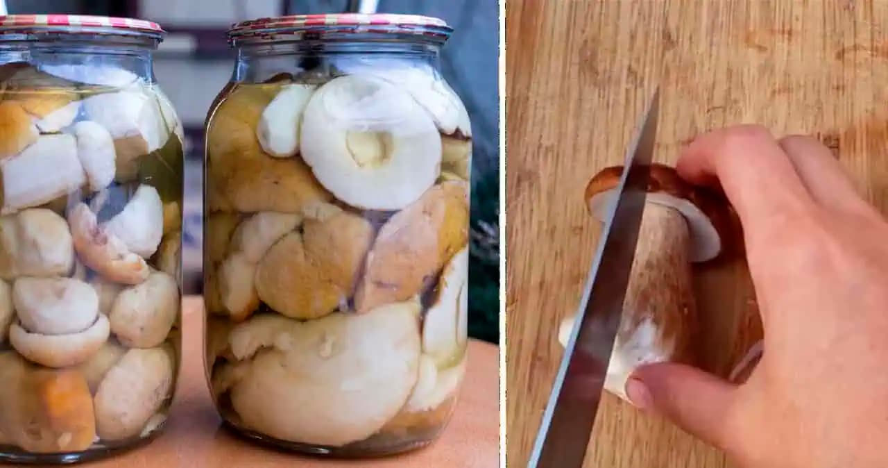 HUBY na zimu bez varenia nálevu: Keby som to poznala skôr, spravila by som oveľa viac pohárov!