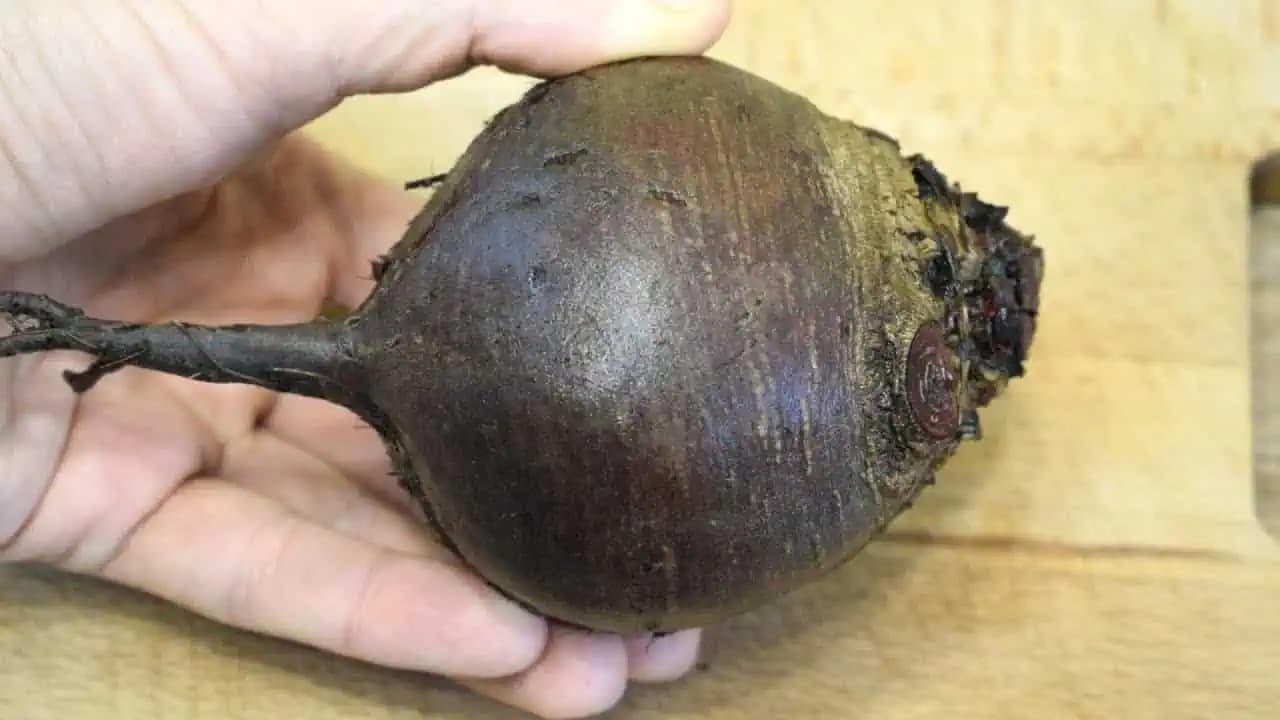 RUSKÝ slávnostný šalát z červenej repy za 10 minút: Nabitý vitamínmi a tak výborný, že ho neviem prestať jesť!