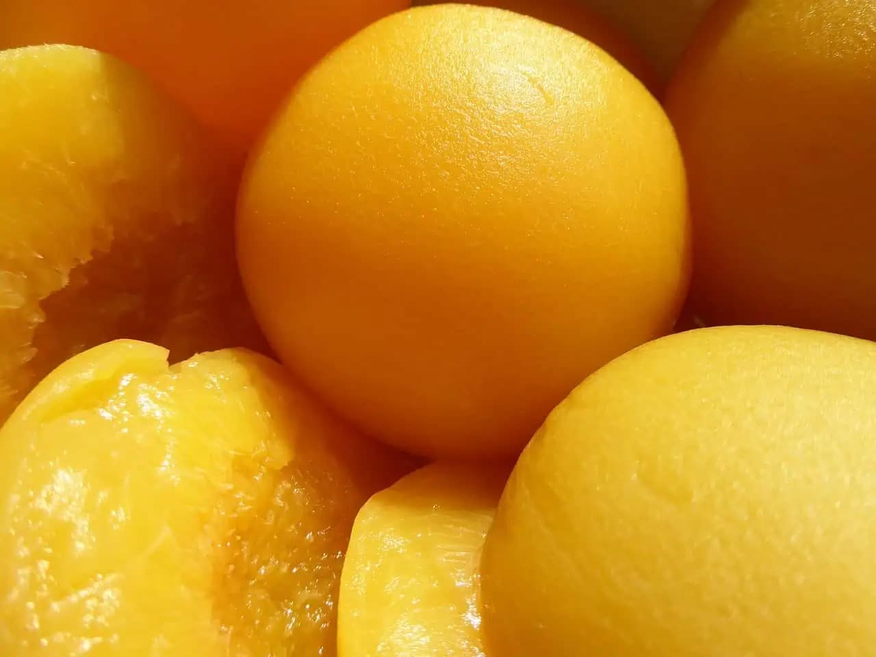 Koláč pripravený za 15 minút, ktorý sa topí v ústach: Jednoduchý a veľmi chutný recept!