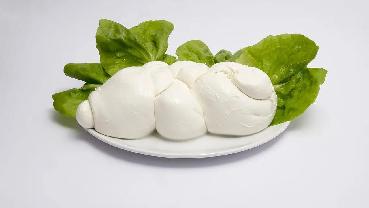 Pravá TALIANSKA mozzarella pripravená za 30 minút: Pripravená z obyčajného mlieka, chutí ako z obchodu!