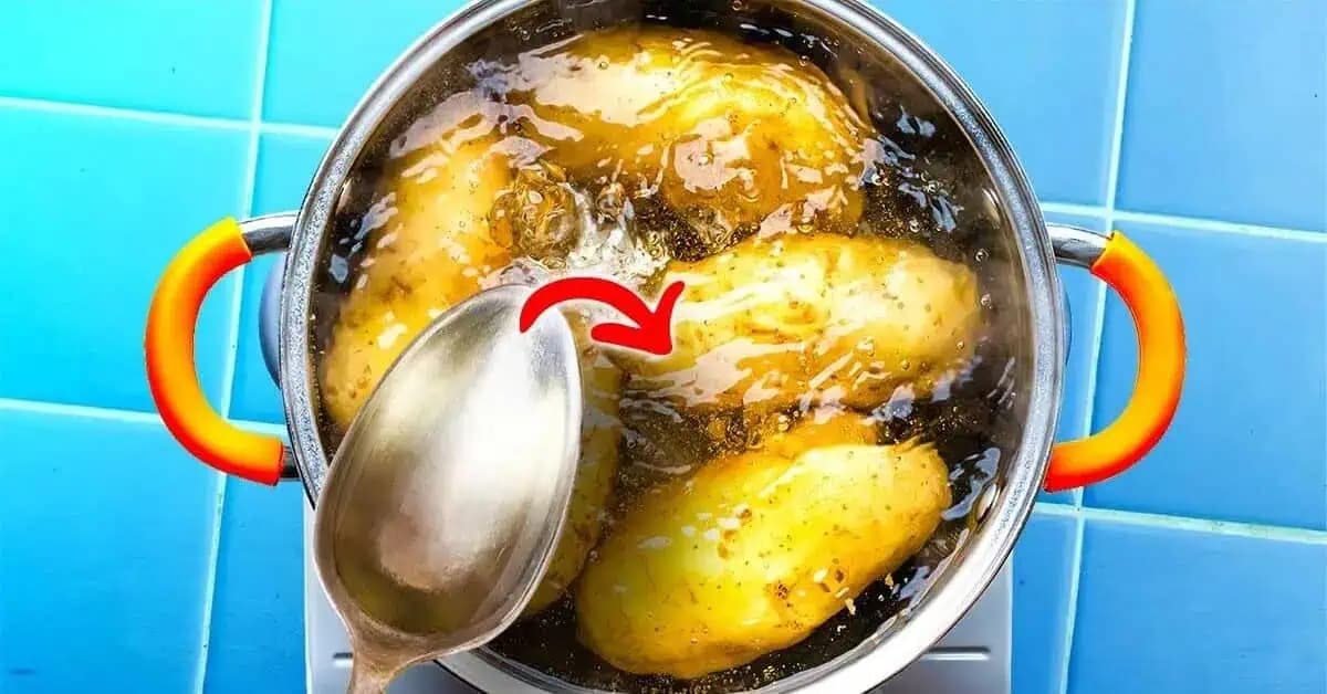 Prečo je dôležité pridať OCOT pri varení zemiakov? Dôležitý ROZDIEL, o ktorom by mal vedieť každý!