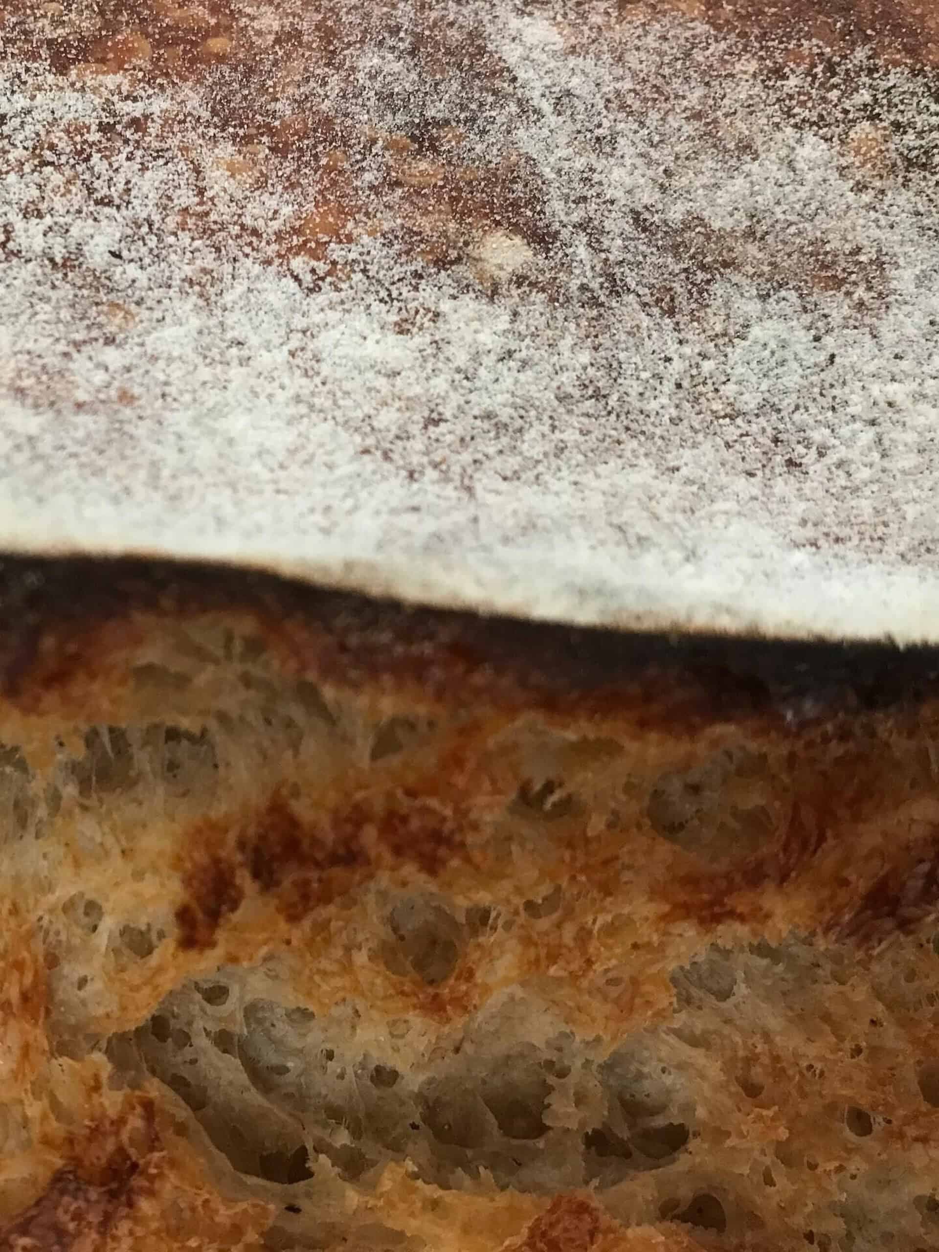 Naše staré mamy piekli tento chlieb na dedine: Starý recept na domáci chlieb upečený za 2 hodiny!