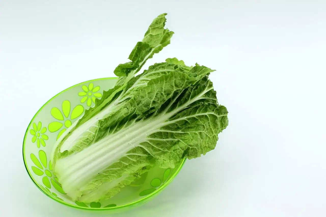 Zabudnite na šaláty: Beriem obyčajnú ČÍNSKU kapustu a na VEĽKÚ NOC robím najjednoduchšie a najchutnejšie predjedlo pre návštevy!