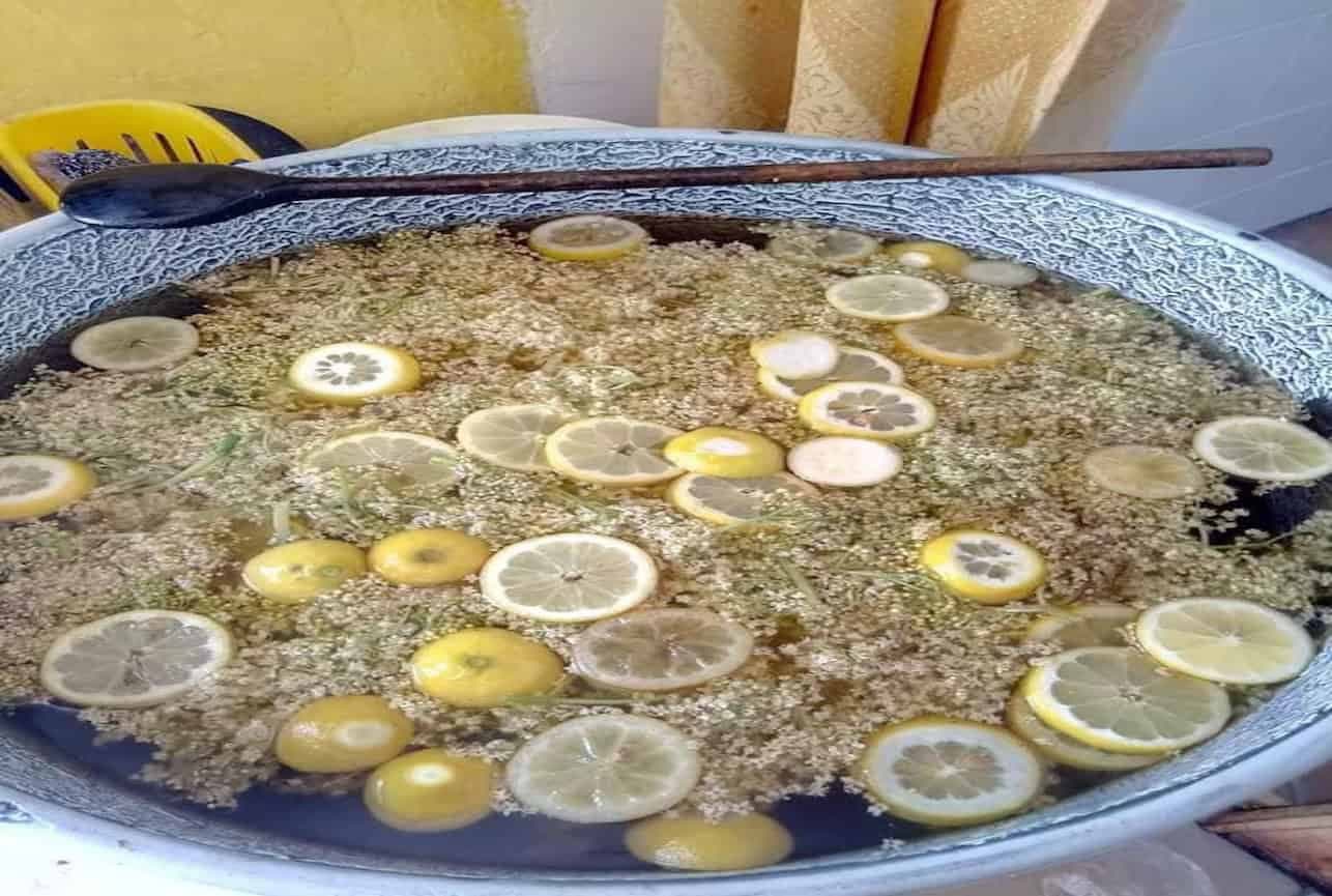 Každý rok varím z bazy NEBESKY chutný sirup BEZ CUKRU: Uľaví od teploty aj nepríjemného kašľa!