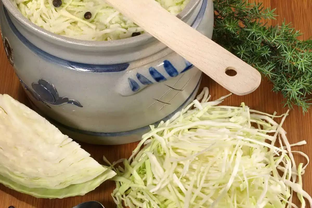 Dedko mi ukázal, ako sa robí DOKONALÁ kyslá kapusta: Podľa jeho receptu je vždy CHRUMKAVÁ a krásne biela!