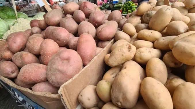 Stačí naliať 1 polievkovú lyžicu: PIŠKÓTA narastie tak vysoká a nadýchaná, že ju treba rozrezať na tri vrstvy!