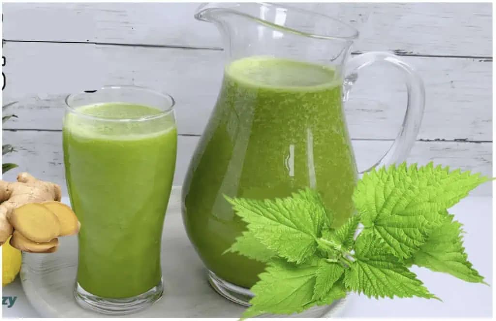 ŽIHĽAVA s medom a zázvorom lieči pečeň, pľúca a všetky alergie: Pomôže to viac, ako lieky, hovorí starká (RECEPT)!