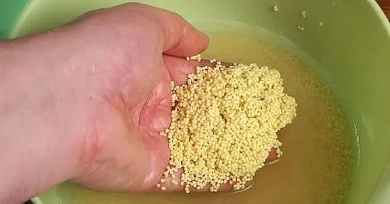 Zabudnite na drahé lieky, táto potravina je hotový zázrak: Záchrana pre pankreas, kosti a prevencia infarktu!