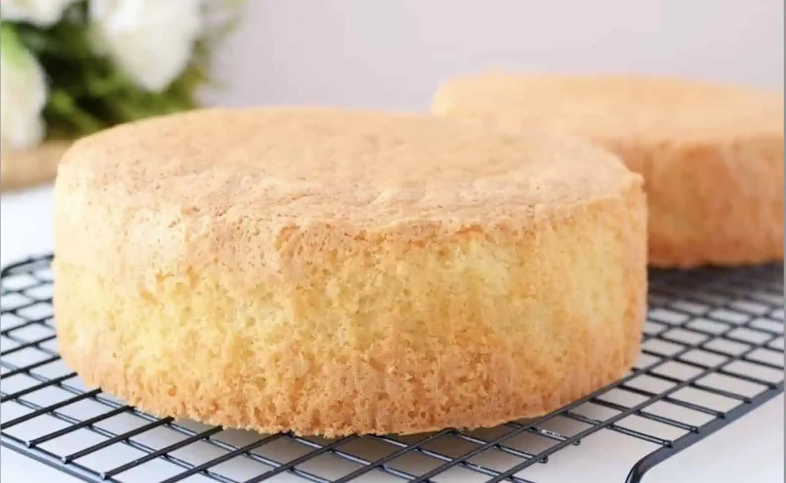 Piškótu z múky už nerobím, toto je jednotka: Fantastické cesto z pudingu BEZ múky – piškóta je neskutočne jemná a šťavnatá!