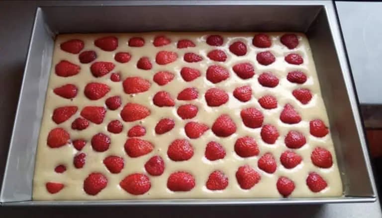 HRNČEKOVÁ bublanina s kokosom a extra nadýchaným cestom z kyslej smotany!