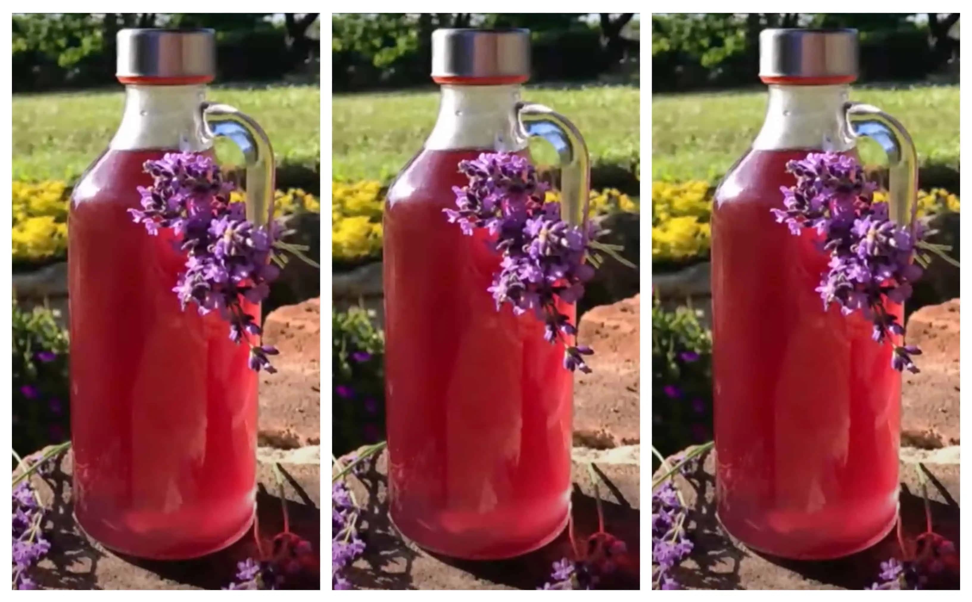 SIRUP z levanduľových kvetov – zdravý a nesmierne chutný: TU je recept a mal by ho skúsiť každý, koho trápi bolesť hlavy, stres a je bez energie!