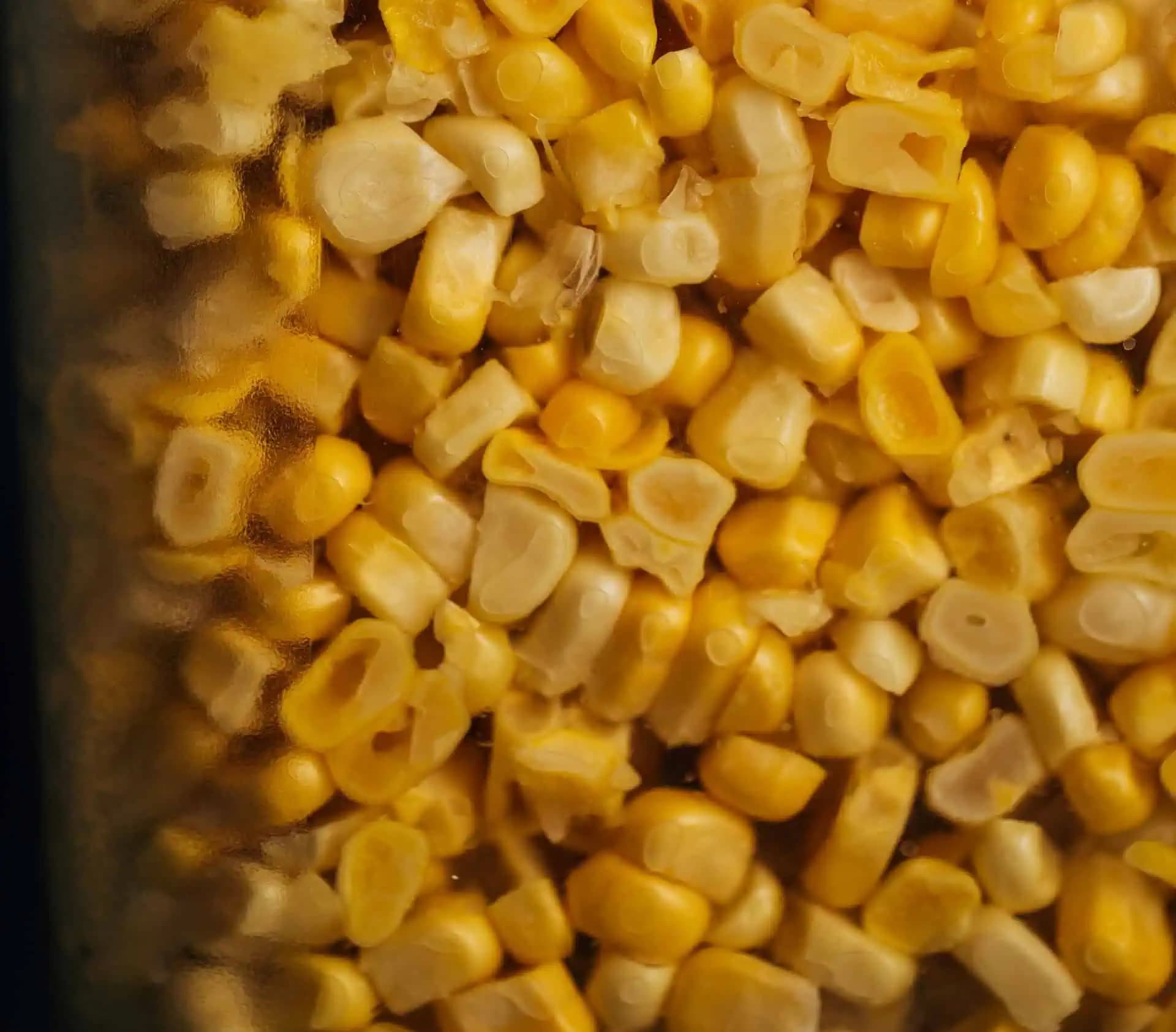 Každý si kupuje KUKURICU V KONZERVE po tom, čo videl tento nápad! Zdieľam tento skvelý trik!