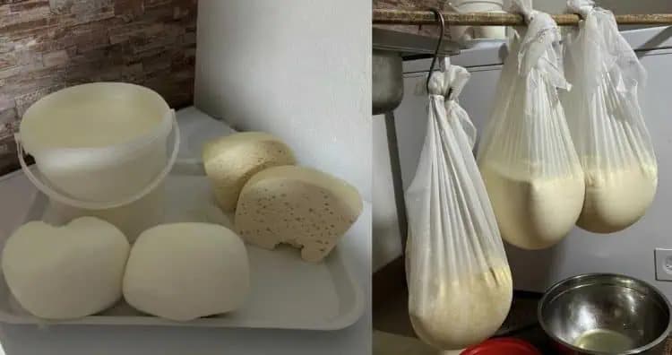 Domáci VEĽKONOČNÝ syr: Tradičný pastiersky recept!