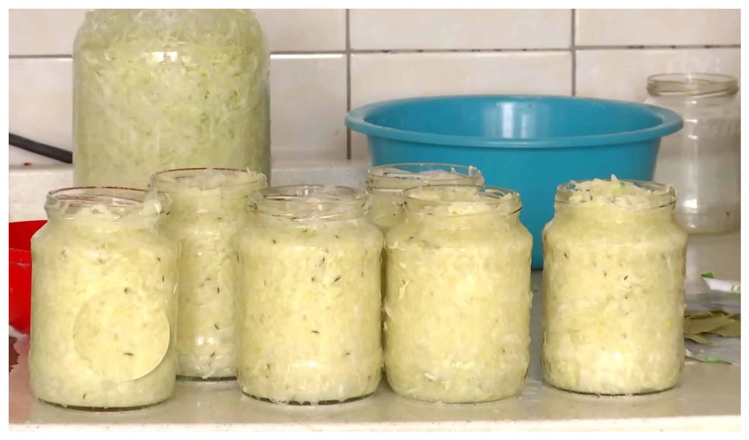 FARMÁRSKA kapusta v pohári: Chutí fantasticky a nesplesnivie, nie je s ňou žiadna práca