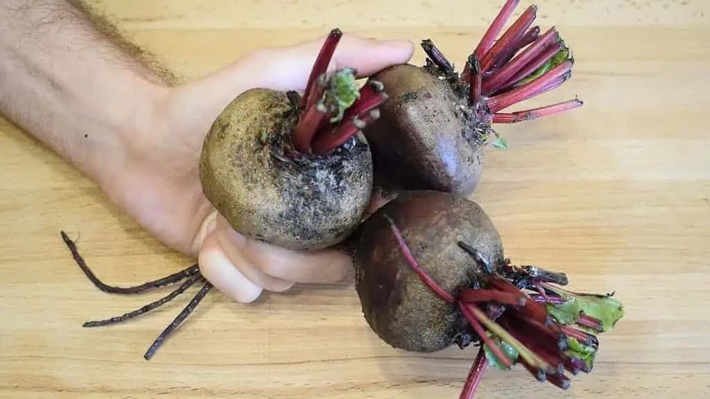 Moji chlapi CVIKLU nemusia, ale za týmto sa idú potrhať: LEN nakrájať a zamiešať – je to chutnejšie ako MÄSO!