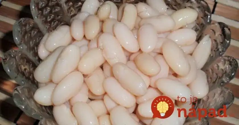 KUCHÁRSKY trik ako pripraviť fazuľu: Je mäkká, ale nerozvarí sa a už vás z nej NIKDY nebude nafukovať – nahradí dokonca aj mäso!
