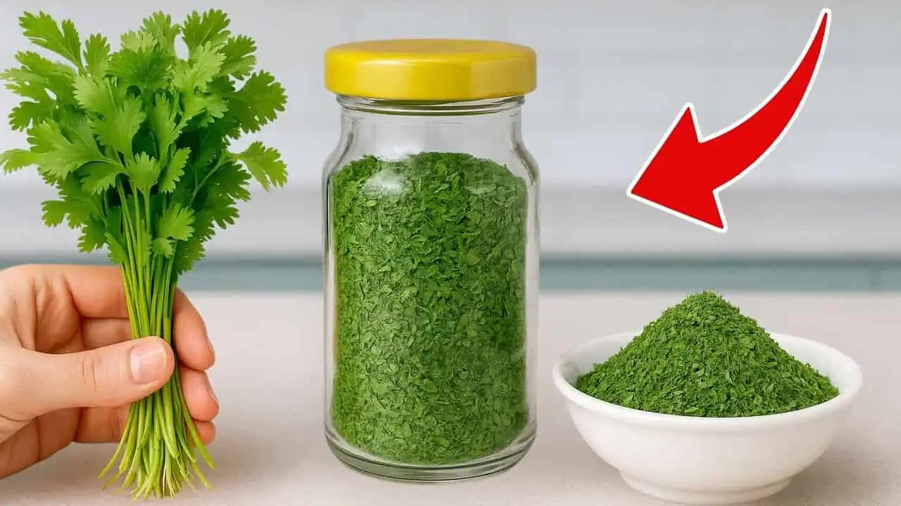 Ako si doma vyrobiť petržlenový prášok za 10 minút – ľahké a jednoduché