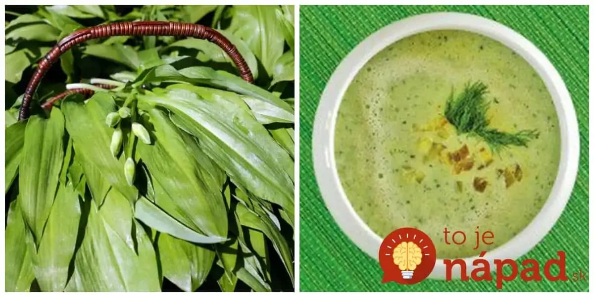 Bič na únavu aj jarné choroby: Liečivá polievka z medvedieho cesnaku – zaručene vás postaví na nohy!