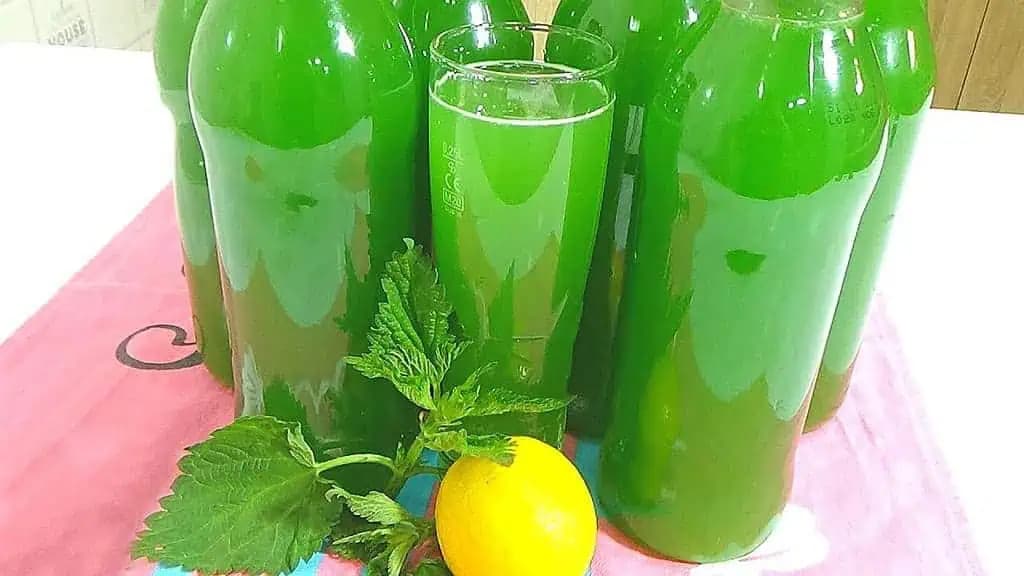 Zabudnite na cibuľu a cesnak, toto je sila: RECEPT na mocný domáci sirup z mladej žihľavy – BEZ varenia!