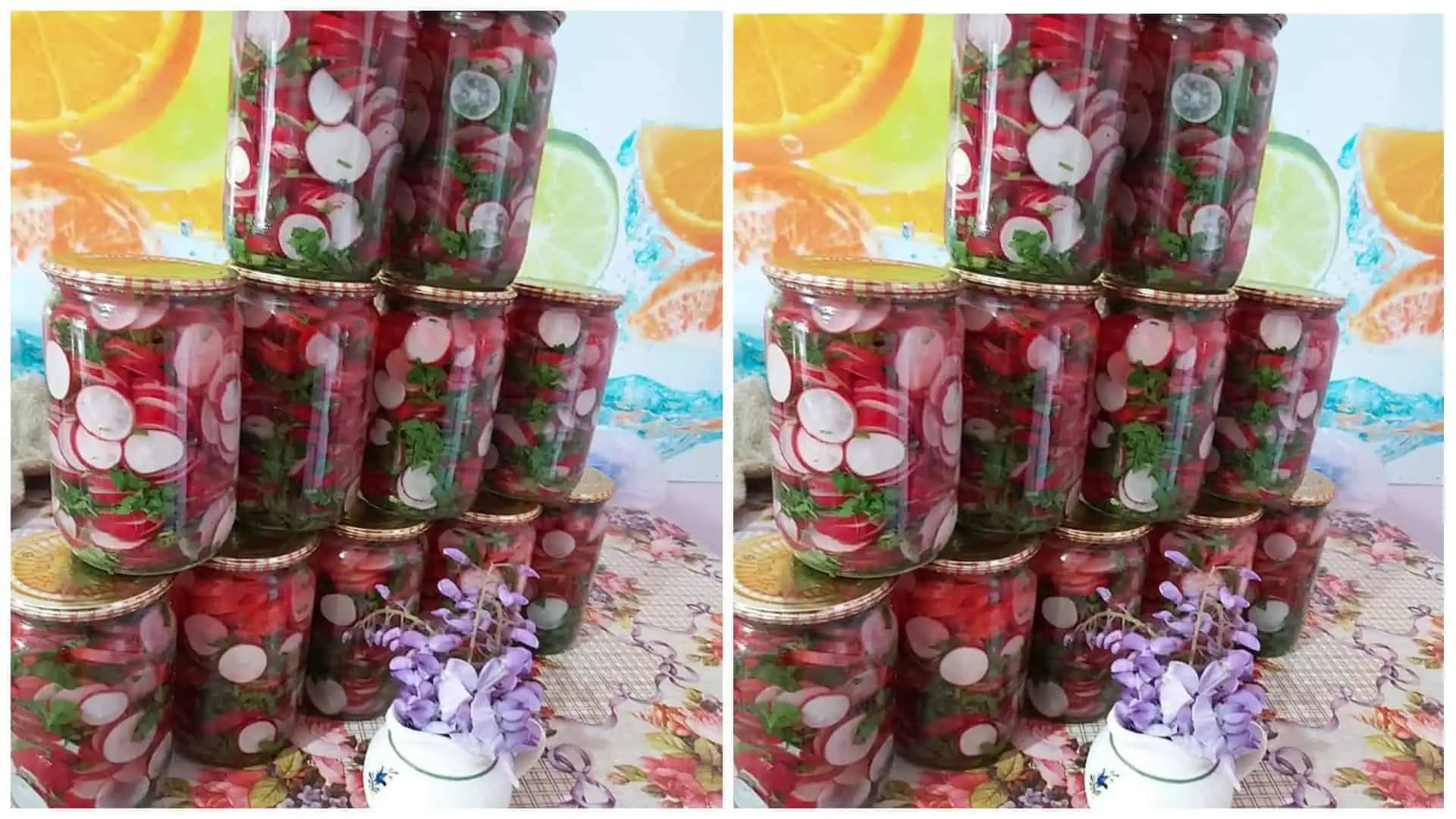 Marinované reďkovky na zimu! Ak ich nevyskúšate, budete to ľutovať celú zimu!